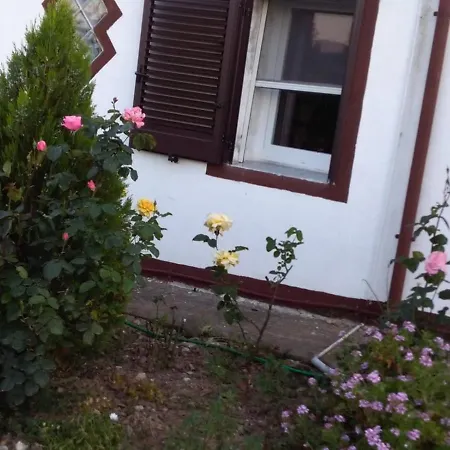 Sole & Luna *
